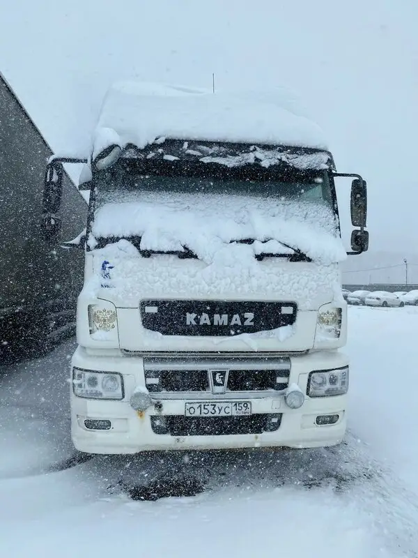 КАМАЗ 5490, 2020