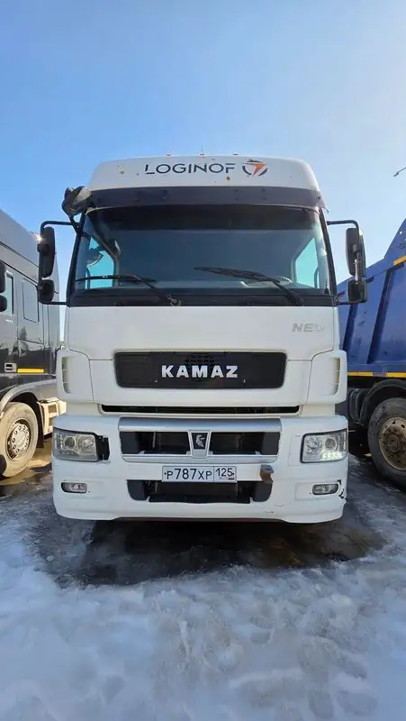 КАМАЗ 5490, 2019, Екатеринбург