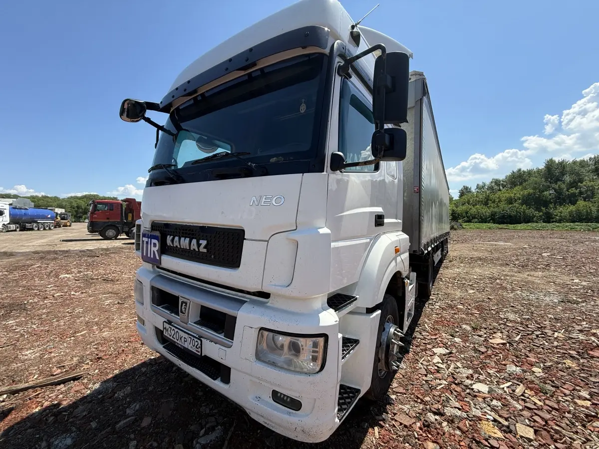 КАМАЗ 5490, 2018