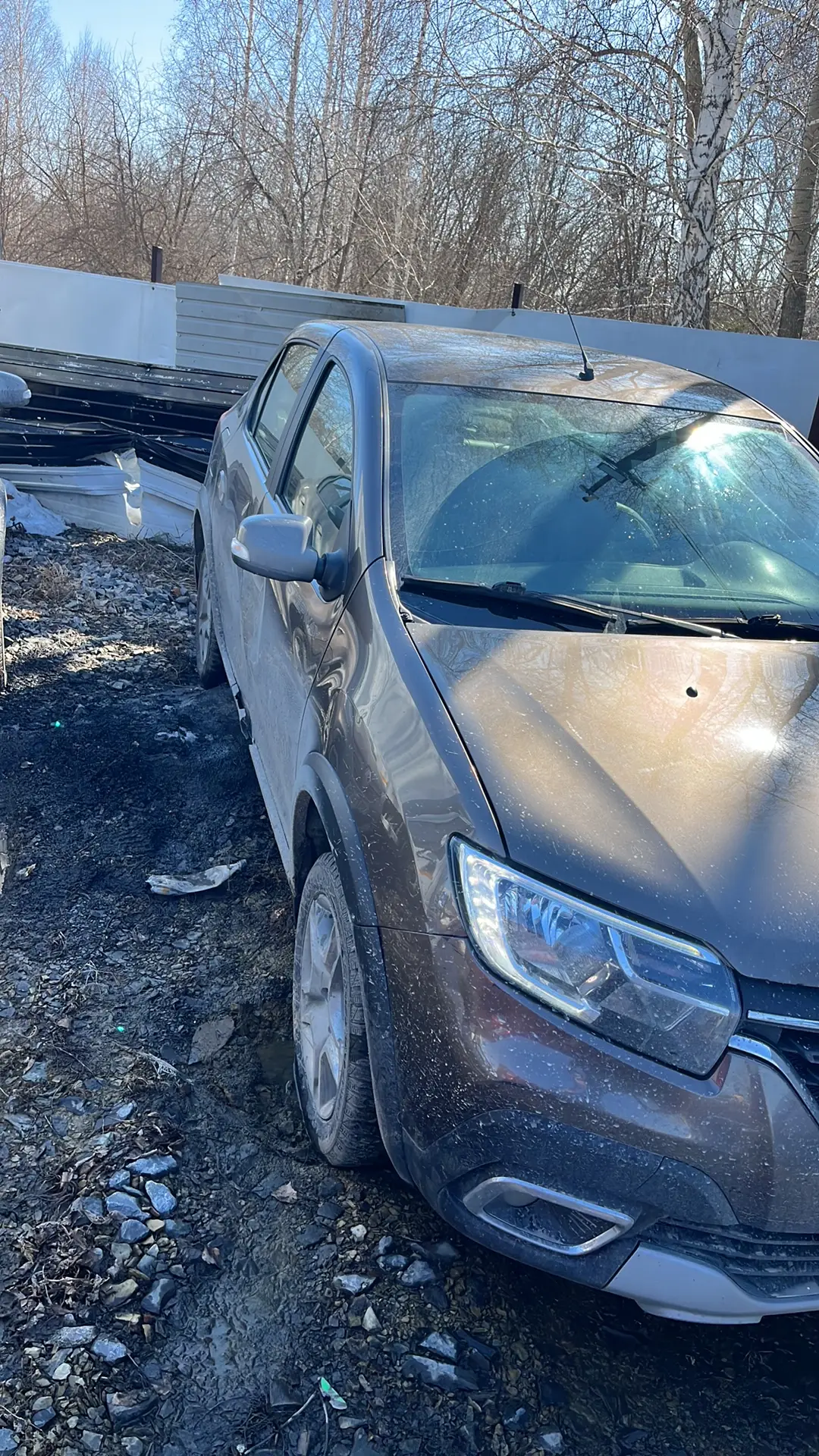 Renault Logan Stepway — фото 1