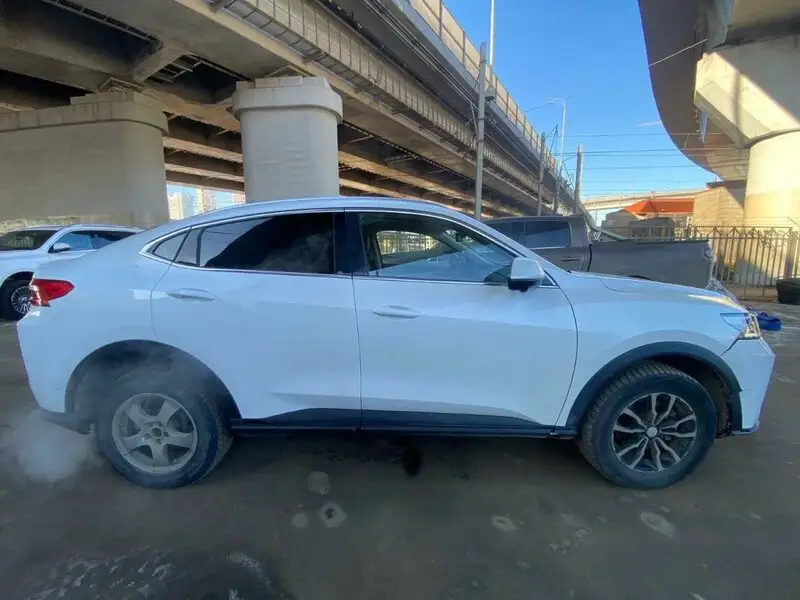 Haval F7x — фото 3