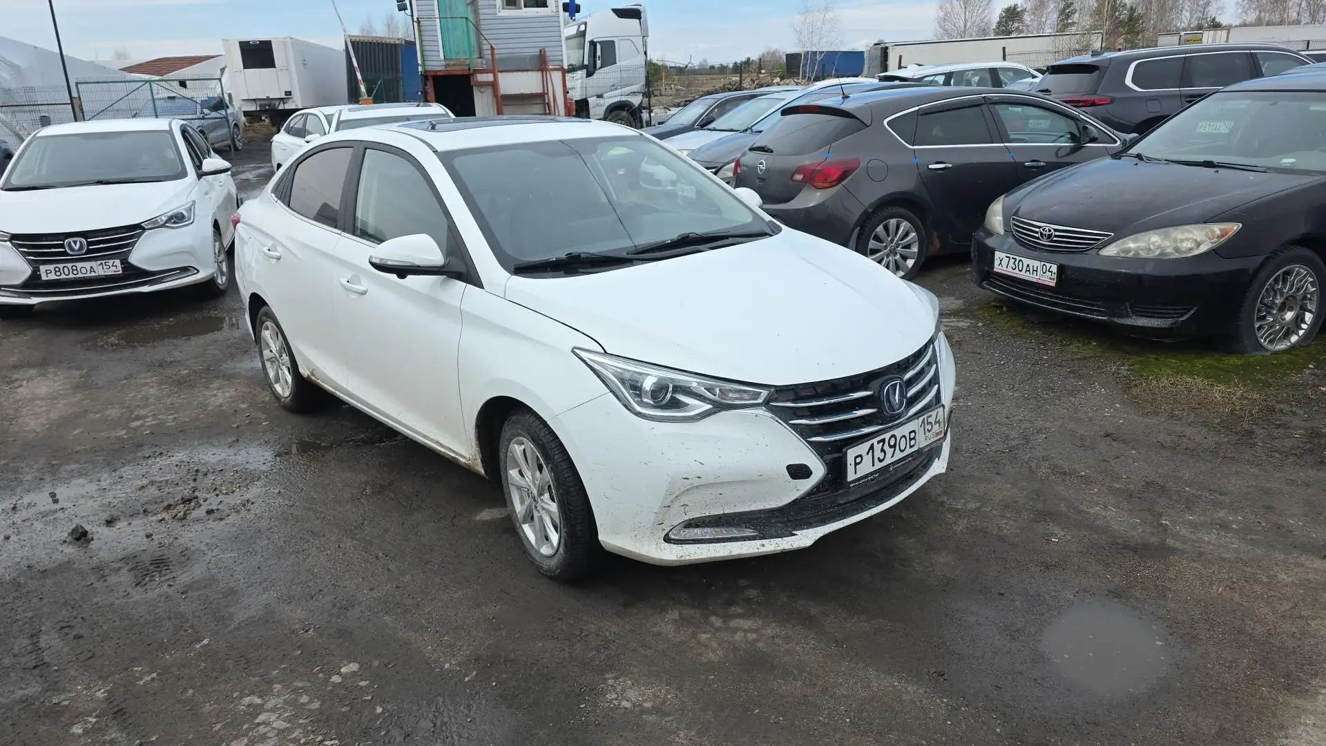 Changan Alsvin, 2023, Новосибирск